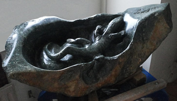 Hagedis - Theo Borger (Putten)